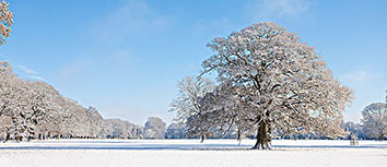 绝境重生还是沉沦深渊？沙尔克04连败阴影下的保级生死时速