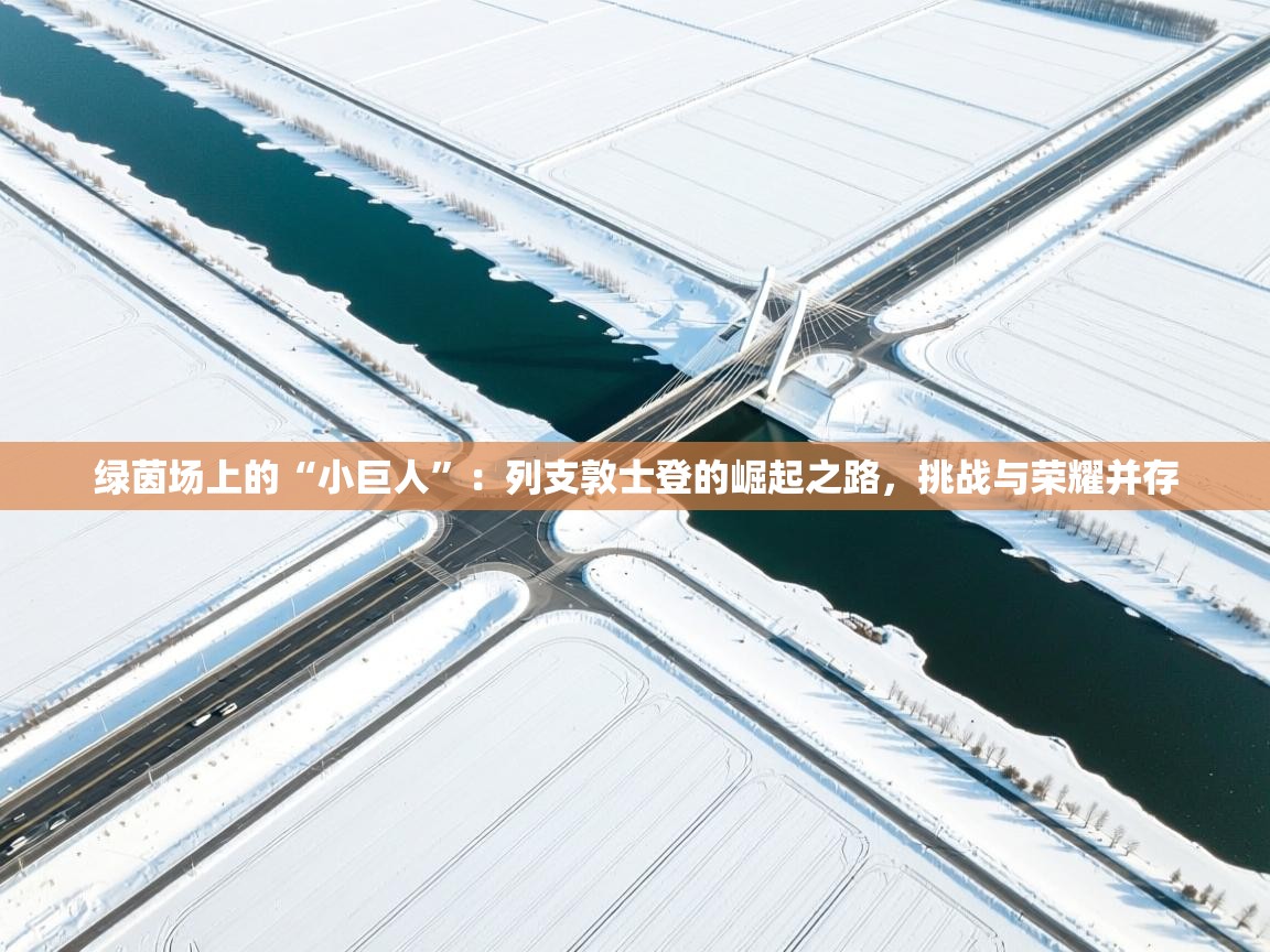 绿茵场上的“小巨人”：列支敦士登的崛起之路，挑战与荣耀并存