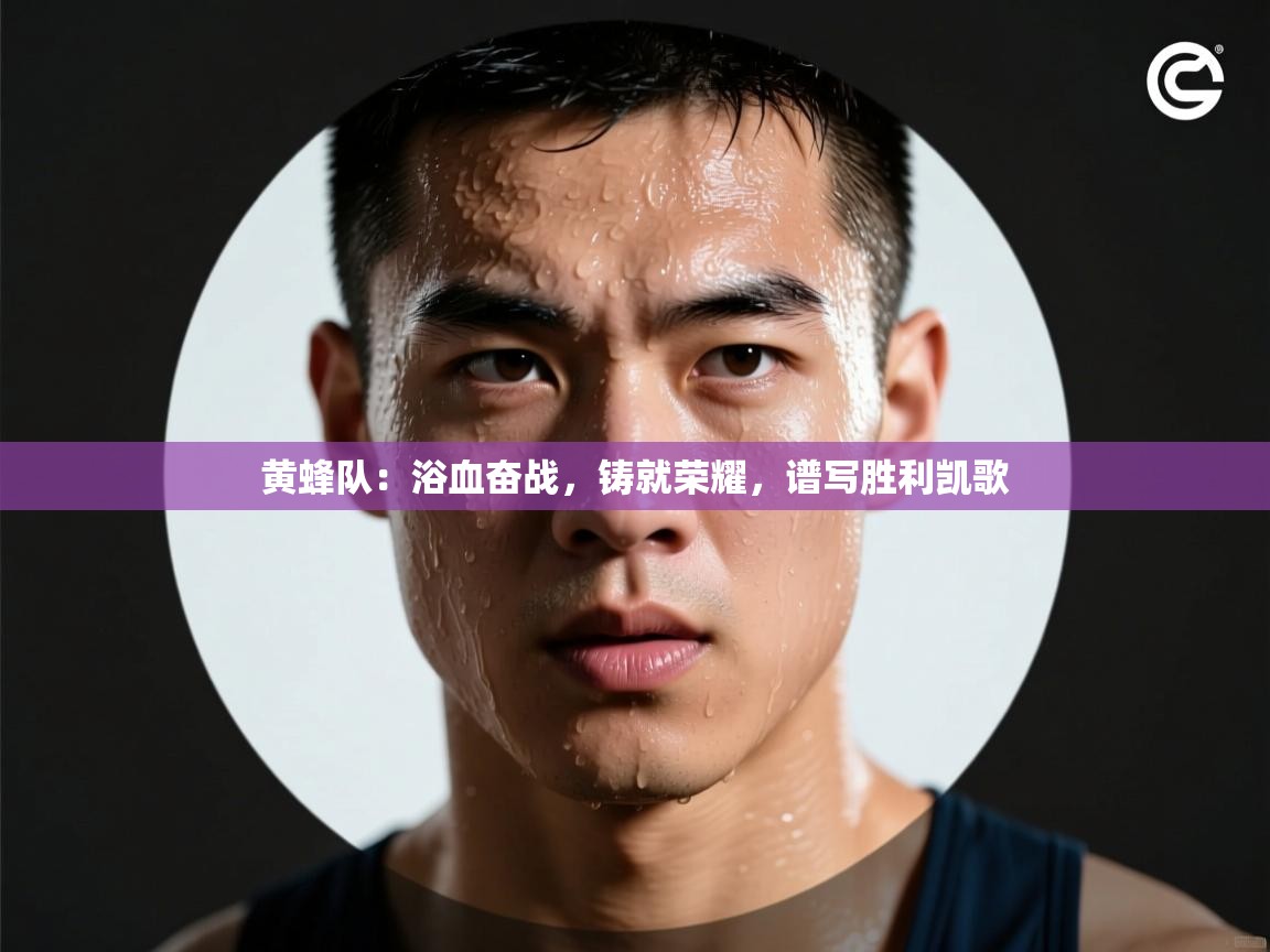 黄蜂队：浴血奋战，铸就荣耀，谱写胜利凯歌