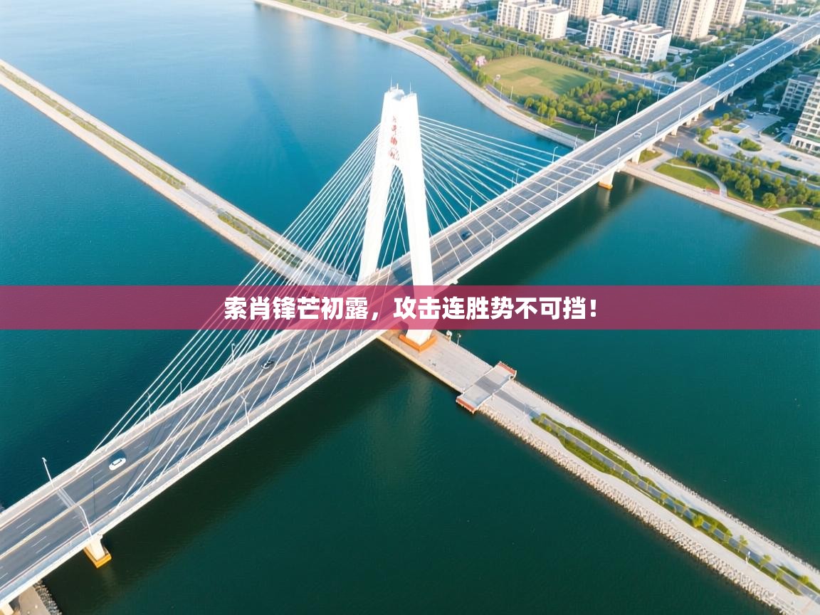 索肖锋芒初露,攻击连胜势不可挡! 第2张