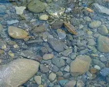 开云体育-河床多点开花，备战进攻火力爆发(河床升高危害很大你有什么办法缓解这种状况)
