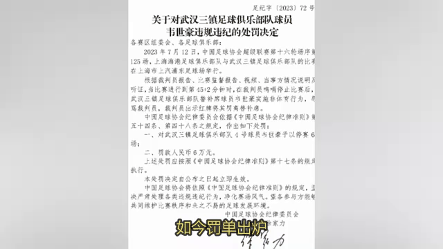 亚足联秋后算账！中国足协遭罚款，原因曝光，双的简单介绍